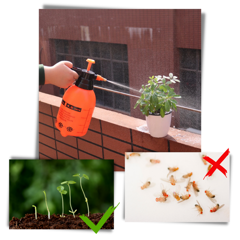 Pulvérisateur de jardin à pompe