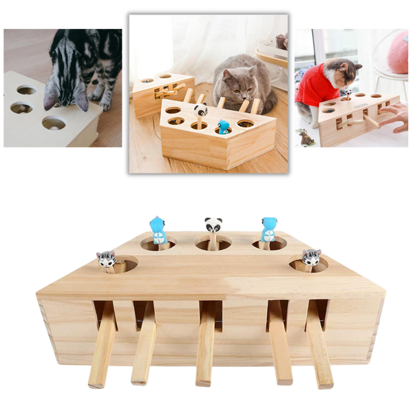 Jouet interactif en bois à 5 trous pour chat