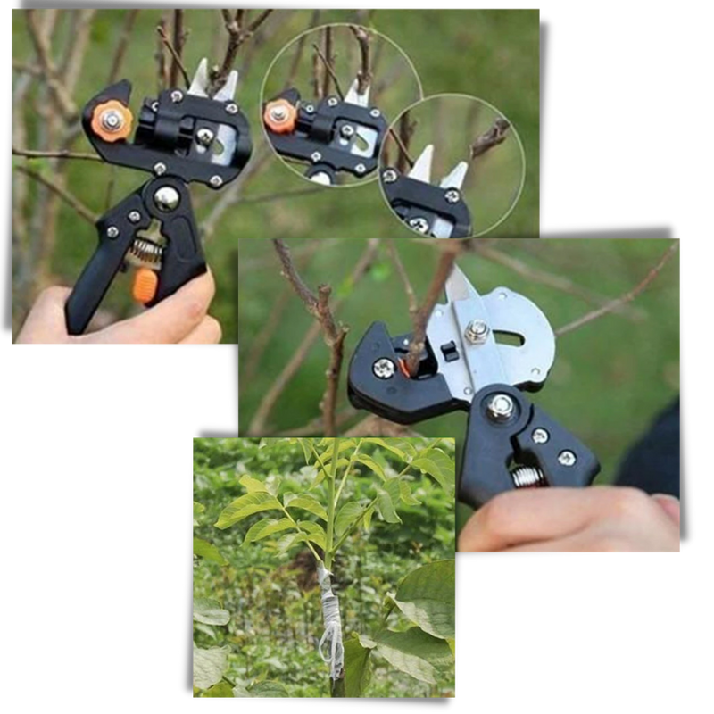 Sécateur de jardin et outil de greffage