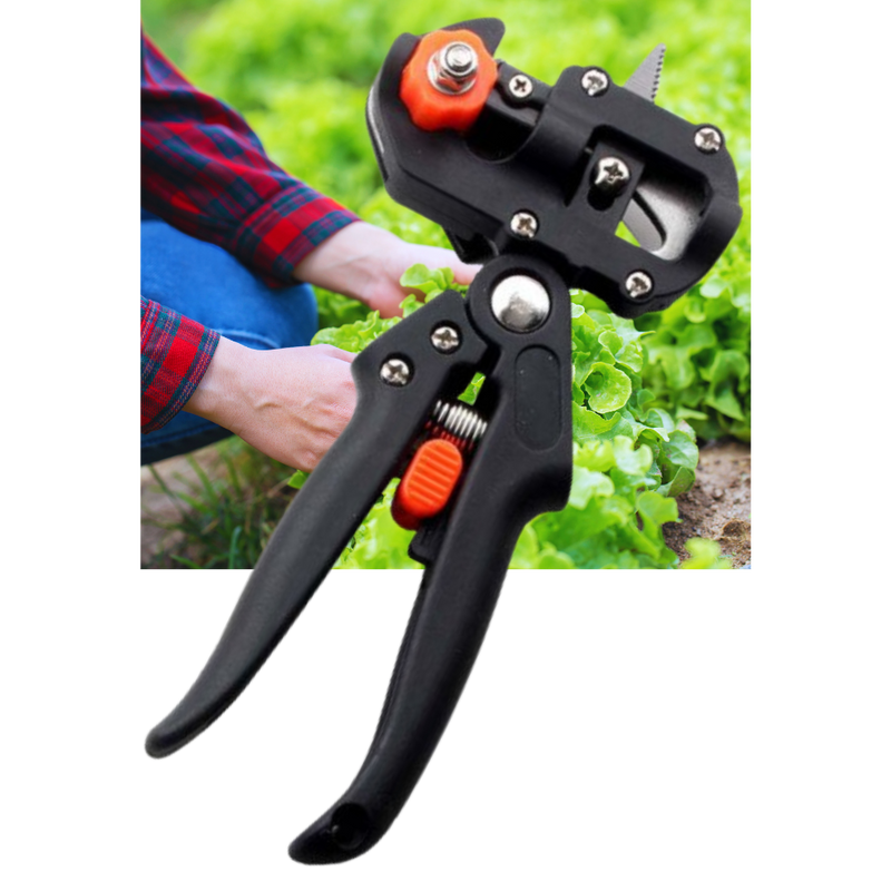 Sécateur de jardin et outil de greffage