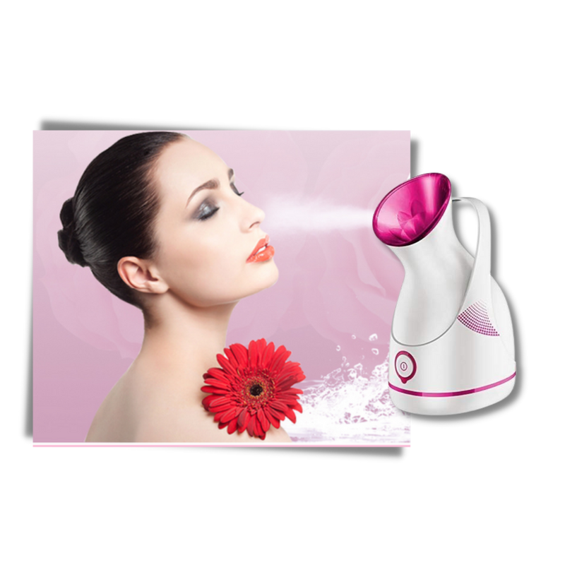 Humidificateur portatifs à effet sauna pour visage
