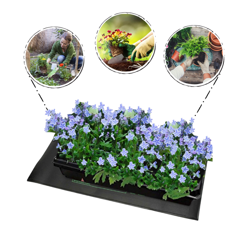 Tapis chauffant imperméable pour semis 24x52cm