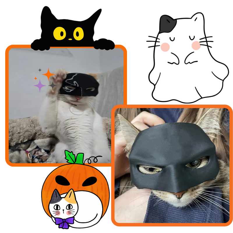 Irrésistible Masque Batman pour Chat