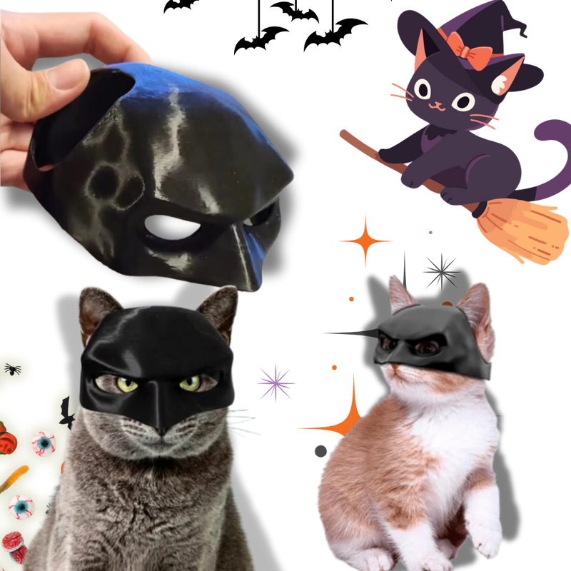 Irrésistible Masque Batman pour Chat
