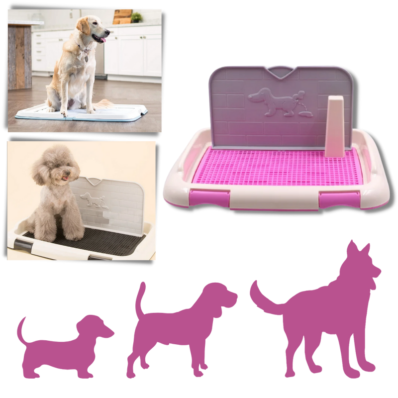 Tapis de propreté pour chien anti-éclaboussures