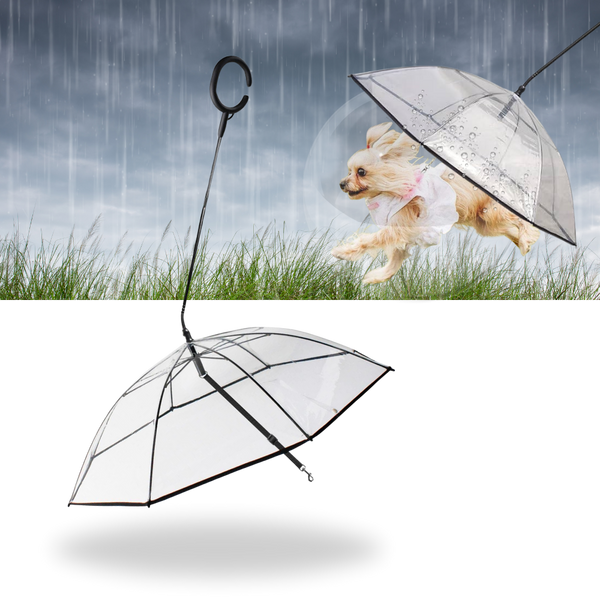 Laisse parapluie transparente pour chien